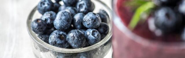 “Plavo zlato” domaće poljoprivrede: Cena otkupa je veoma visoka, ali uslovi proizvodnje su veoma strogi