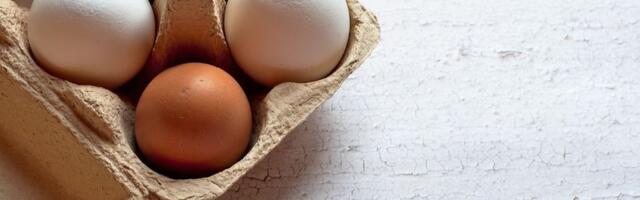 Živinarstvo jedan od najzdravijih sektora: Srbija godišnje proizvede 1,57 milijardi jaja