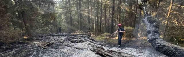 Alarmantno stanje na srpskoj granici! Vatrena stihija zahvatila Kamenu Goru, vatrogsci hitno izašli na teren