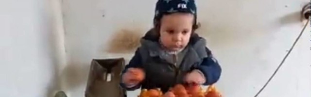 Jakov je najmlađi farmer iz Užica -  skuplja i klasira jaja kao profesionalac