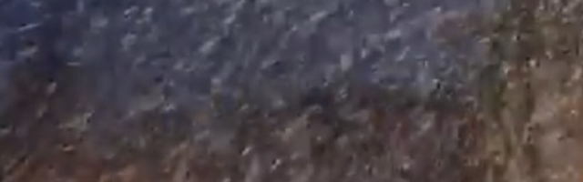 Kraj maja, a na našoj prelepoj planini veje kao da je zima! (FOTO/VIDEO)