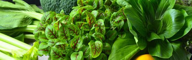 Mleko nije jedini izvor kalcijuma: Ovi biljni proizvodi čuvaju vaše kosti bolje nego što mislite