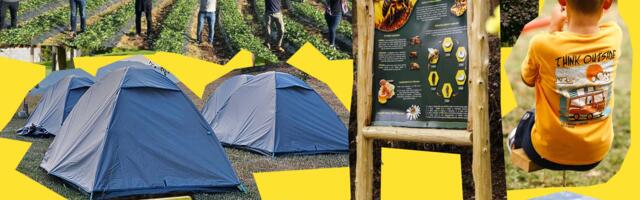 MEĐUNARODNI VOLONTERSKI KAMP KOD ČAČKA OKUPLJA MLADE IZ CELOG SVETA