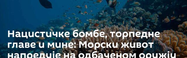 Нацистичке бомбе, торпедне главе и мине: Морски живот напредује на одбаченом оружју
