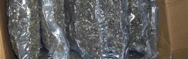 Marihuana, heroin, kokain je bio njihov biznis: Podignuta optužnica za organizovani kriminal