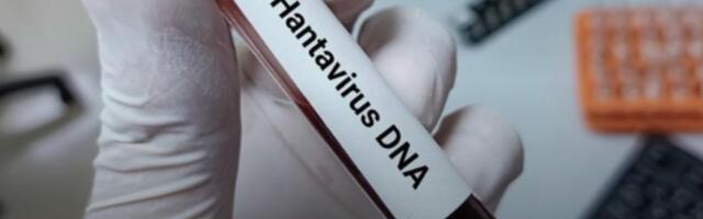 Smrt na moru, zaraza na kopnu: Virus sa broda ,,Hondius“ u Švajcarskoj