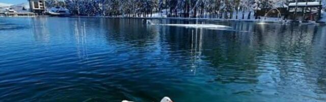 LEPI ZLATIBOR UČINILI JOŠ LEPŠIM! Belim labudovima napravili kućicu na jezeru, NIKO DA IH NE DIRA!