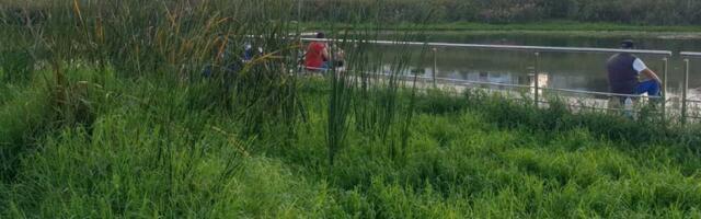 FOTO: Četiri godine posle silnih obećanja pristan na Begeju zarastao u travu