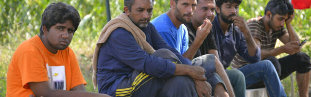 Prepolovljen priliv migranata ove godine u našu zemlju