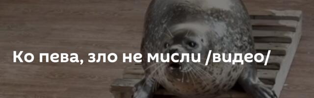 Ко пева, зло не мисли /видео/