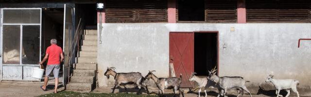 "Okusio sam muškarce, al mi više prijaju žene!" Pevač (78) šokirao detaljima iz privatnog života, niko ne bi pretpostavio da je potpuno drugačiji u ČETIRI ZIDA!