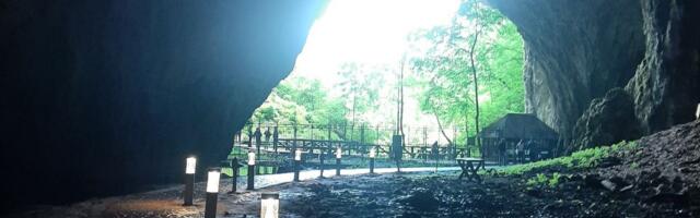 Na samo 20 km od Zlatibora nalazi se prirodno čudo koje izgleda nestvarno - da li ste ga posetili?