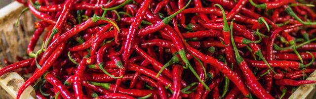 Prednosti i mane ljute hrane