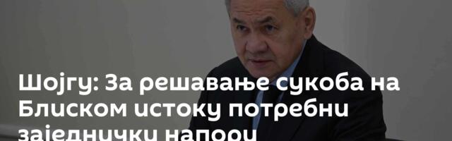 Шојгу: За решавање сукоба на Блиском истоку потребни заједнички напори