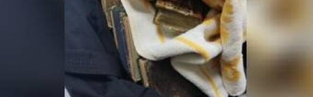 Kada su carinici zavirili u torbu koja se nalazila u "golfu" srpskih oznaka, NISU NI SLUTILI ŠTA ĆE U NJOJ UGLEDATI