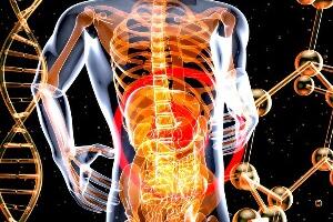 Пронађен фосил „рибе убице“ стар 360 милиона година