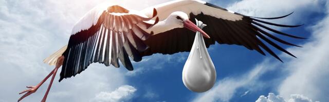 A od Gradske opštine Medijana – slike na poklon niškom GAK-u