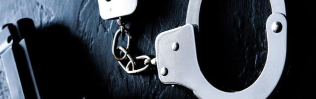 Policija mu pronašla oružje i uređaj za noćno osmatranje: Uhapšen mladić u Sremskoj Mitrovici