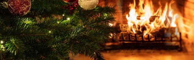 Vratite život staroj jelki! Bićete oduševljeni rezultatom (VIDEO)