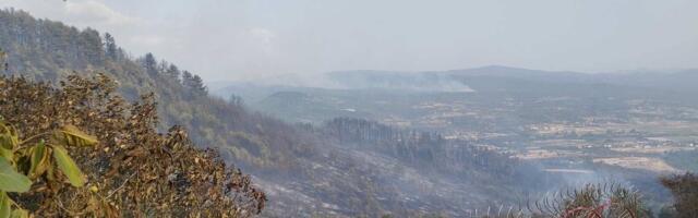 Prijavljivanje štete zbog julskih požara u Vranju