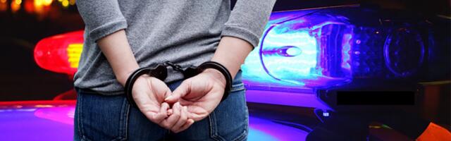 Haos u Zagrebu: Renata došla u stanicu da prijavi porodično nasilje, pao joj mrak na oči pa mlatila policajce