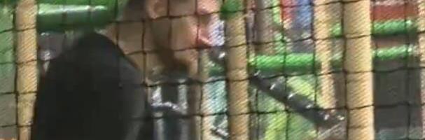 JOKIĆA NIKADA NISMO VIDELI NA SLIČNOM MESTU! Isplivao snimak Srbina u totalno drugačijem izdanju, pogledajte šta je radio!