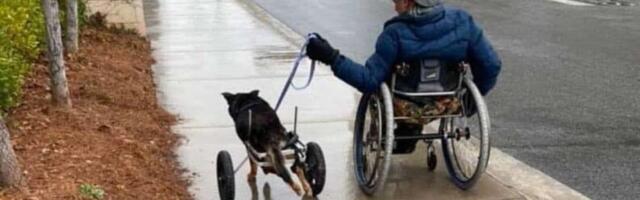 Bandit konačno našao dom: Odbačen pas u kolicima skućio se kod čoveka koji vodi istu životnu borbu