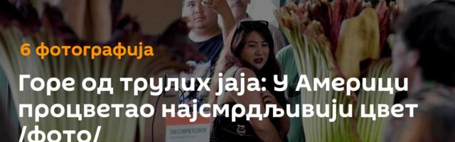 Горе од трулих јаја: У Америци процветао најсмрдљивији цвет /фото/