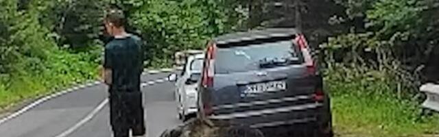 Туриста за длаку избегао напад медведа јер је гледао у телефон