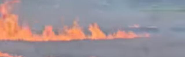 Bukti požar kod Kruševca: Gust dim se širi (VIDEO)
