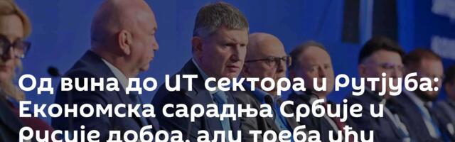 Од вина до ИТ сектора и Рутјуба: Економска сарадња Србије и Русије добра, али треба ићи даље