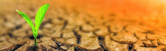 Novo na tržištu osiguranja u Srbiji:  Jedinstveno osiguranje od suše