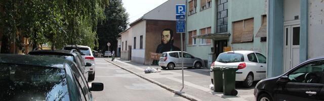 Sprema se uklanjanje i "radikalno" orezivanje dela stabala u Ulici Lukijana Mušickog: Ovo su detalji