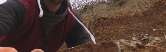 Živojin Mišić radi u kamenolomu i poštenim radom dokazuje da je dostojan svog imena!