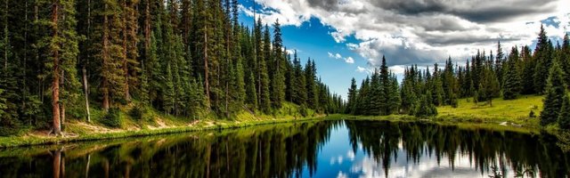 Priroda poslala poruku čovečanstvu: Zahvaljujući koroni mnogo toga što se ranije činilo nemogućim, ispostavilo se kao moguće!