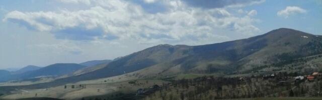 Čigota protiv Golijata