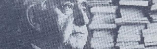 Pisac srpske istorije