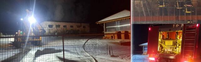 Veliki požar kod Majdanpeka: Izgoreo privatni objekat na plantaži borovnice (FOTO/VIDEO)