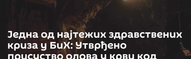 Једна од најтежих здравствених криза у БиХ: Утврђено присуство олова у крви код више од 100 грађана
