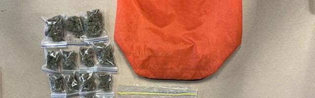 Volonter humanitarne pomoći u rancu pronašao marihuanu i novac: Incident na Novom Zelandu šokirao policiju