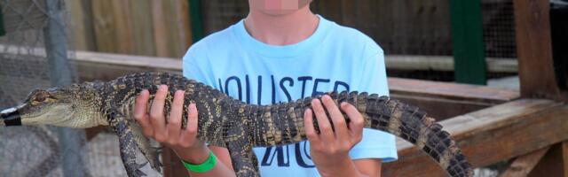 Dečak (14) snimljen šta radi aligatoru: Policija je odmah došla i privela ga!