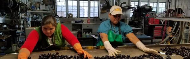 U prerađivačkoj industriji 11.510 radnika ostalo bez posla