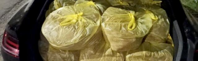 Na kragujevačkim pijacama zaplenjena velika količina rezanog duvana i paklica cigareta bez akciznih markica