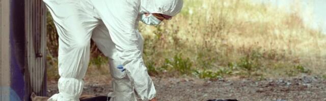 PRONAĐEN LEŠ ŽENE! Horor kod Mostara!