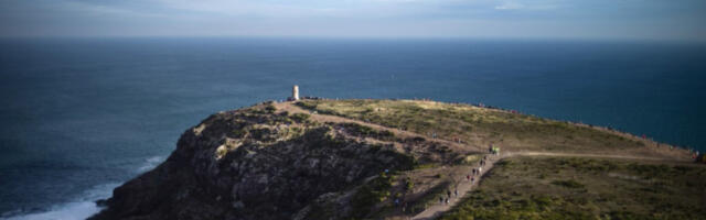 Откривено више од 100 нових биљних и животињских врста