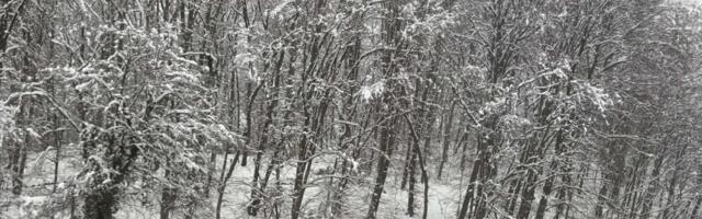Zimski horor za vaše kuće: Spremite rezervne ključeve, mnogi bi mogli da završe na ulici!