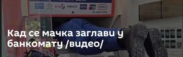 Кад се мачка заглави у банкомату /видео/