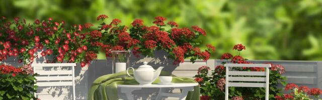 Kada izneti cveće na terasu? Jedna greška u proleće može da uništi biljke koje ste čuvali celu zimu