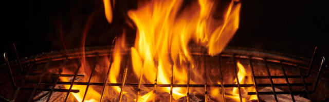 Trikovi za 1. maj: Kako očistiti roštilj bez preteranog ribanja i štetnih hemikalija