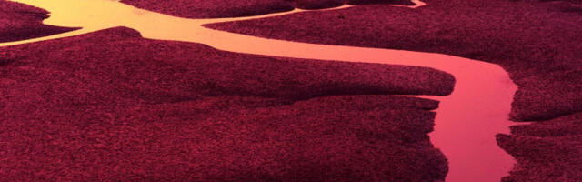 Pala “krvava kiša” u Persijskom zalivu: Spektakularni fenomen, sve izgleda kao da je na Marsu (VIDEO)